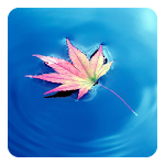 Autumn Leaves Live Wallpaper Apk