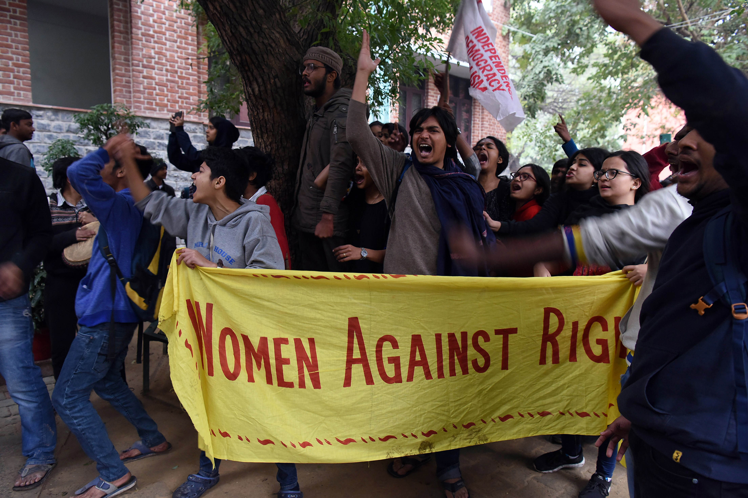 Virgin Tree Puja Nahi Chalegi: What led to a scuffle at Hindu College on Valentine’s Day