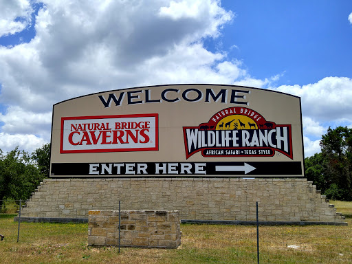 Natural Bridge Caverns and Wildlife Ranch