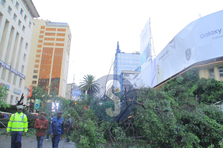 A section of the road that was affected after the fall of tree on Moi Avenue on Wednesday, April 24, 2024