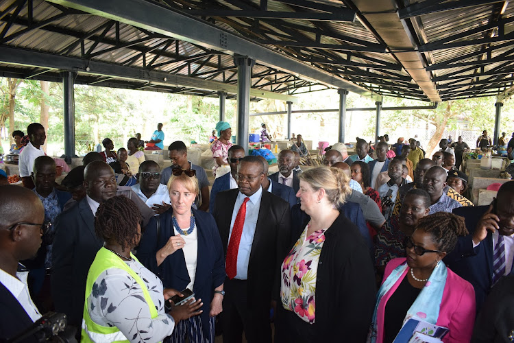 Irish Ambassador Fionnuala Quinlan (in blue necklace) and Busia Governor Paul Otuoma (in red tie) with other officials inside the market during its launch on Tuesday