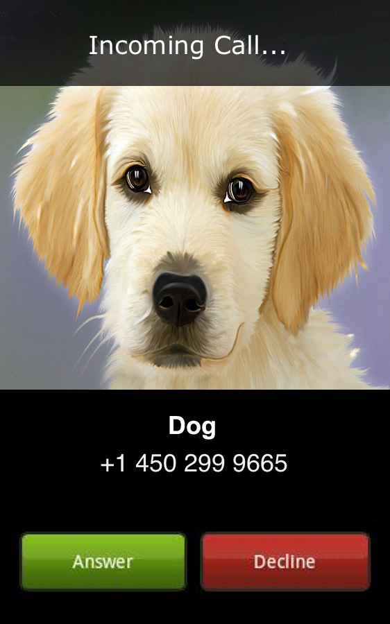 Dog Calling — приложение на Android