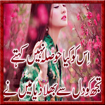 New Urdu 2 Line Poetry Apk