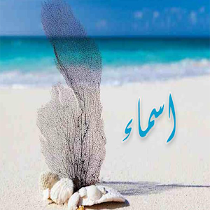 أكتب إسمك على الرمل-جديد 2016.apk 1.0