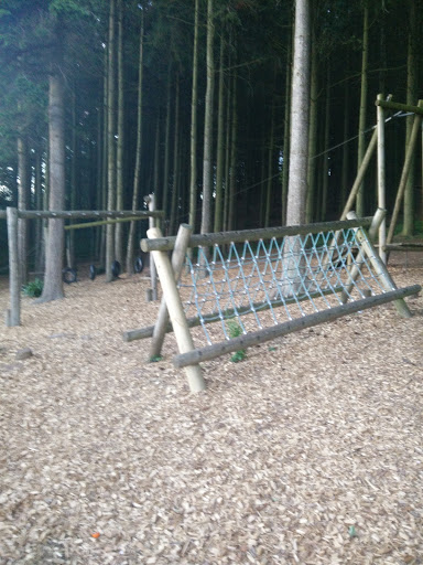 Forest Playground