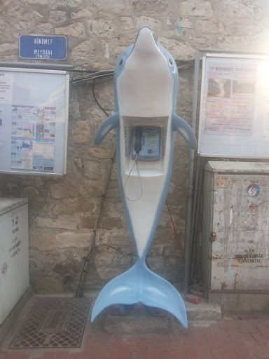 Yunus Telefon