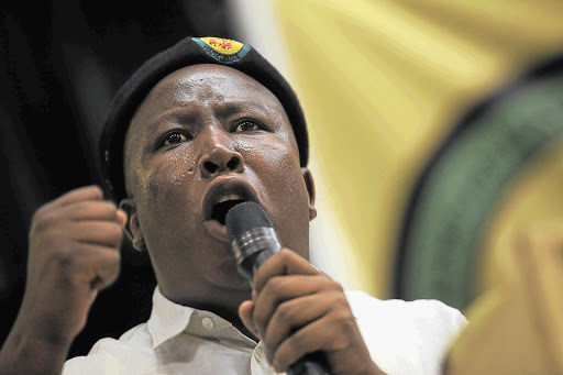 Julius Malema. File photo.