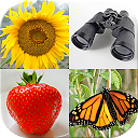 ダウンロード Easy Pictures - Photo-Quiz with 4 Differe をインストールする 最新 APK ダウンローダ