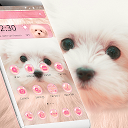 ダウンロード Pink Cute Puppy Theme をインストールする 最新 APK ダウンローダ