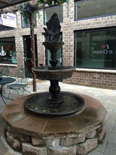 Fishy Fountain