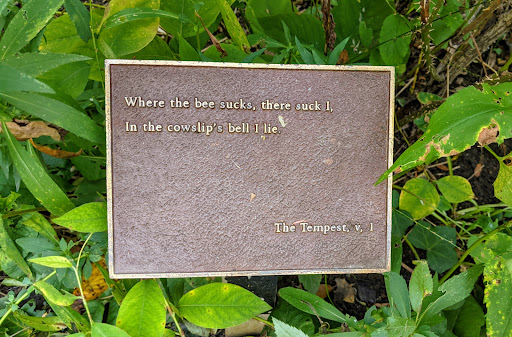 Where the bee sucks, there suck I,In the cowslip's bell I lieThe Tempest, v, 1Submitted by @lampbane