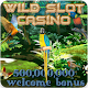Download Wild Vegas Slot Machine For PC Windows and Mac 1.0