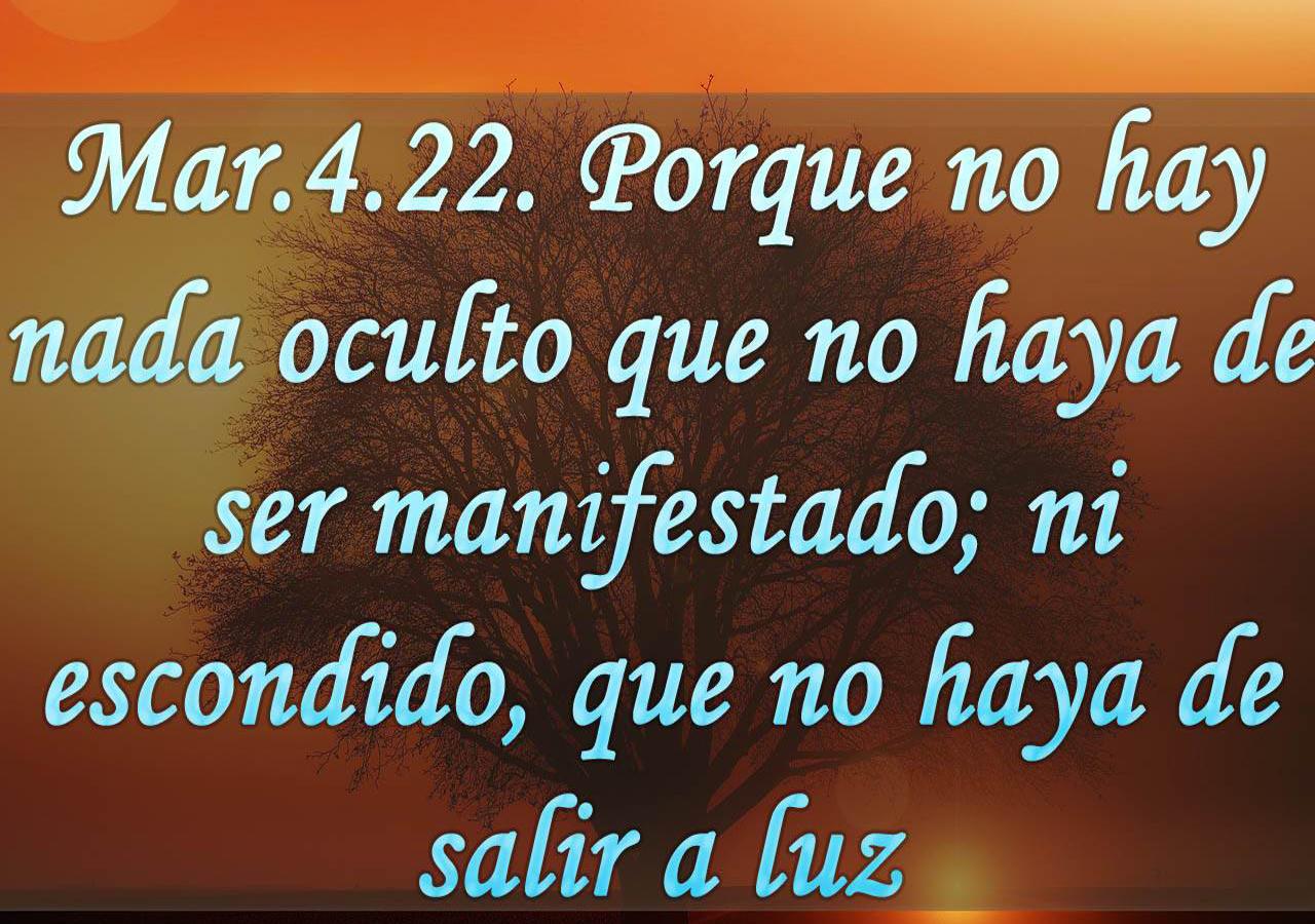 Android application Frases - biblia reina valera screenshort