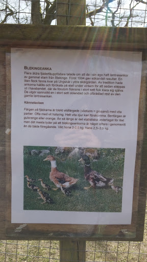 Wämöparkens Blekingeankor