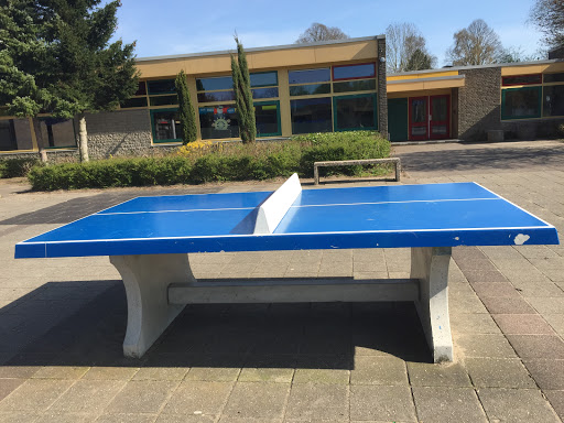 Ping Pong Tafel