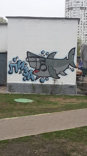 акула лиза