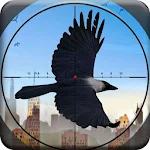 City Crow Hunting : Adventure Apk