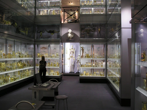 A part of the Hunterian Collections on display at The Royal College of Surgeons of England.