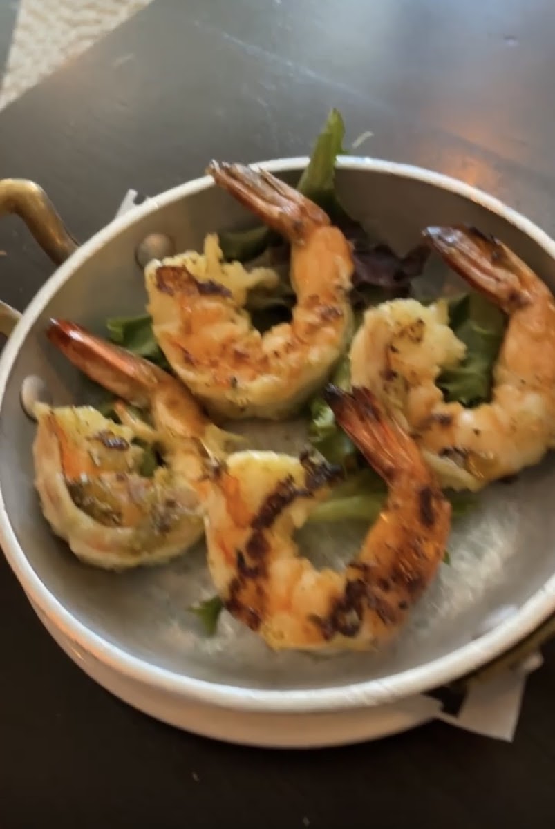 Grilled shrimp add on to burrata