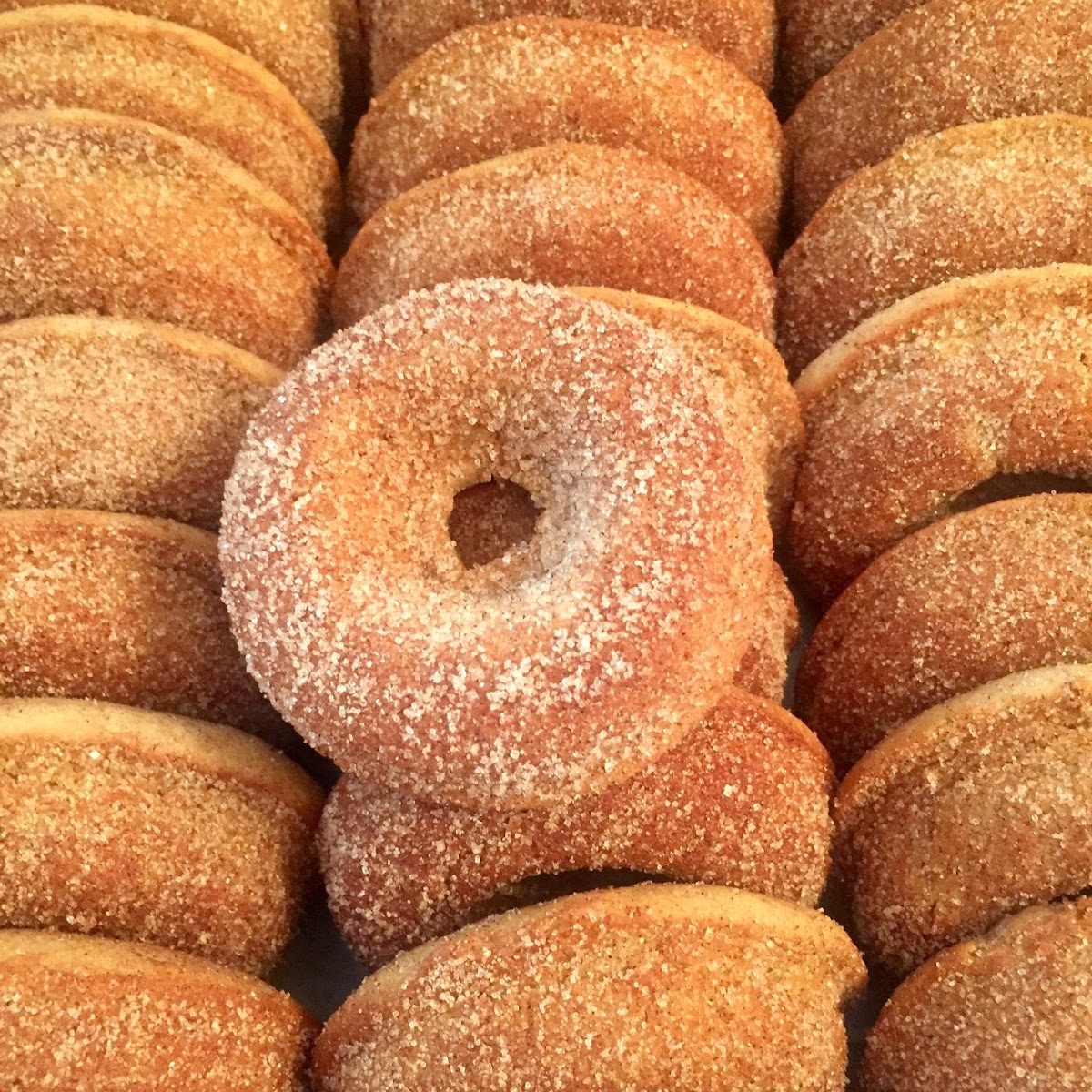 We are now making seasonal gluten free apple cider donuts with best cider from Solebury Orchards. Stop in or call to order.