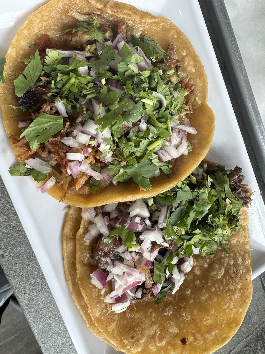 Carnitas & Barbacoa tacos