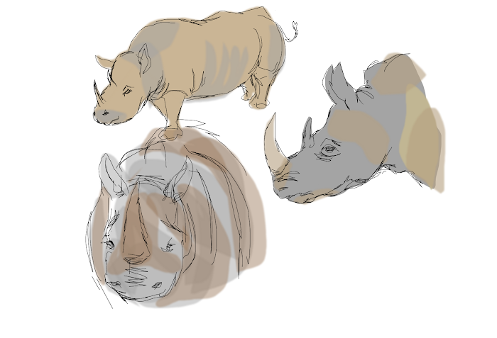Rhino sketchies