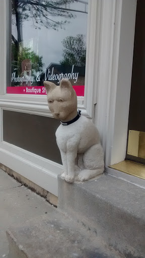 Cat Statue