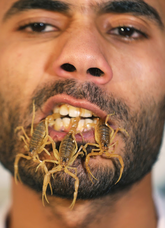 Mohamed Hamdy Boshta shows scorpions that he hunted in Egyptian deserts and shores to extract their prized venom for medicinal use.