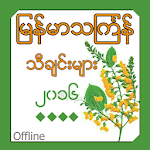 Myanmar Thingyan Songs Apk