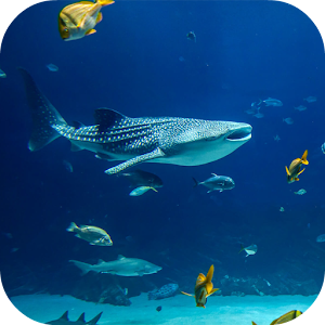 Download Underwater Frames Photo Editor For PC Windows and Mac
