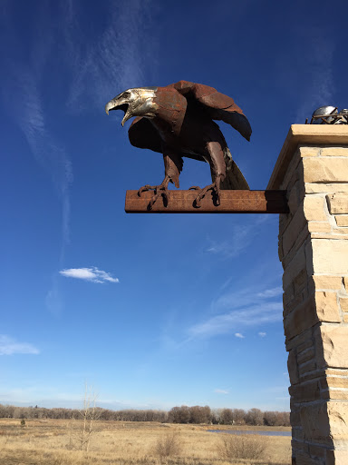 St Vrain Greenway Eagle and Nest