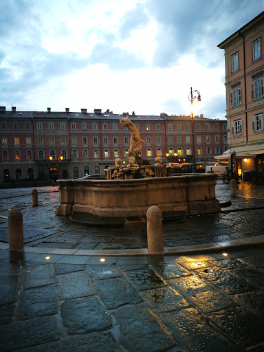 The Fountain Giovannin de Pont