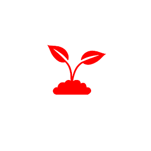 Spring Flowers.apk 1.0