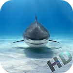 Sharks Video Live Wallpaper Apk