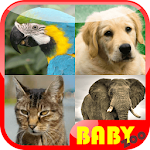 Baby Animal Kids Education Apk