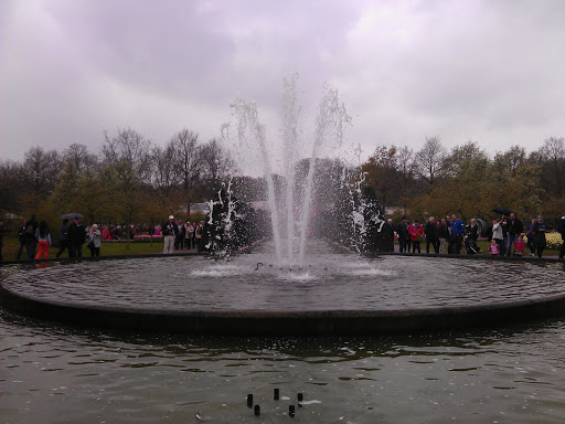 Fountain at the Park