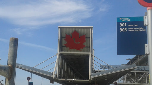 Giant Maple Leaf 