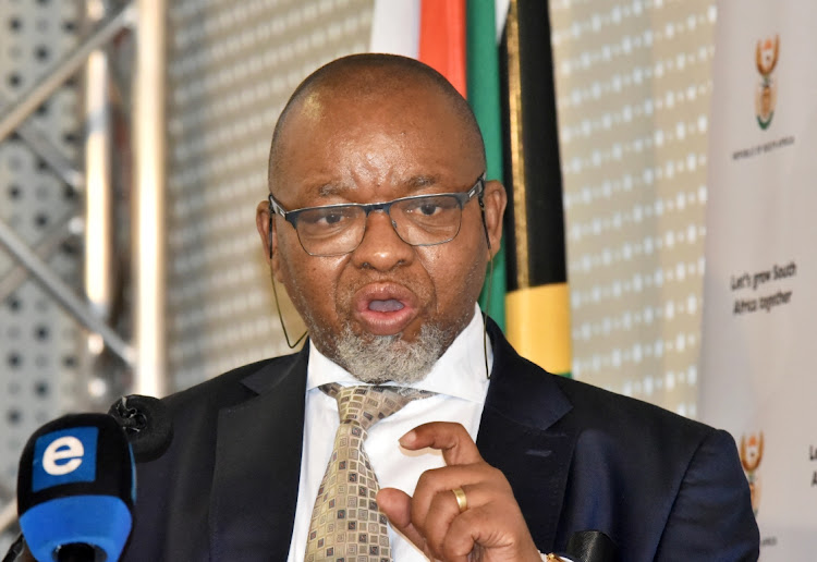 Mineral resources and energy minister Gwede Mantashe. File photo.