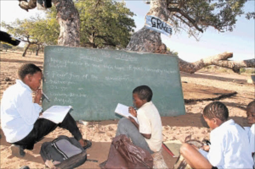 OUTDOOR LEARNING: Pupils and teachers of Selowe Primary School at Silvermine village in Senwabarwana, under Blouberg municipality in Limpopo, attend classes under marula trees because they only have one classroom. PHOTO: ELIJAR MUSHIANA