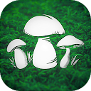 ダウンロード Real Mushroom Hunting Simulator 3D をインストールする 最新 APK ダウンローダ