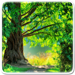 Green Nature Live Wallpaper Apk