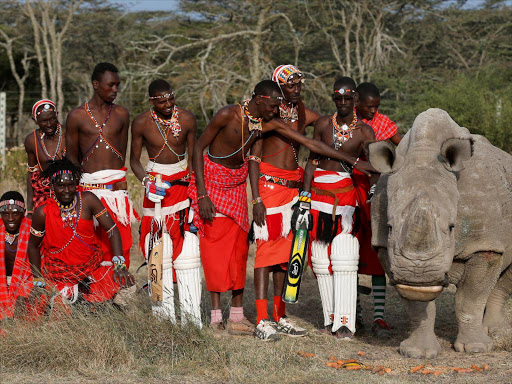 Members of the Maasai Cricket Warriors pose for a photograph with the last surviving male northern white rhino named 'Sudan' after playing against the British Army Training Unit (BATUK) cricket team during a charity tournament called the "Last Male Standing Rhino Cup" at the Ol Pejeta Conservancy in Laikipia, Kenya June 18, 2017. /REUTERS