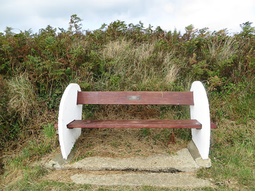 The commemorative plaque on this seat reads: In memory of OLEG PROKOFIEV 1928-1998 Artist, Poet who died on this island Oleg Prokofiev was the son of the composer Sergei Prokofiev. The seat...