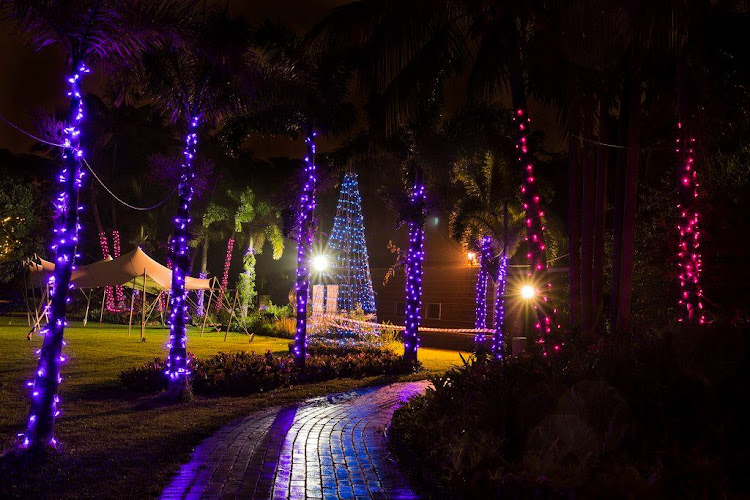 The spectacular Trail of Lights at the Durban Botanic Gardens.