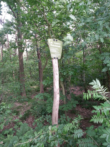 Nature Park Molenbroek Entrance