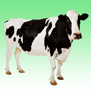 Download Cow sounds For PC Windows and Mac