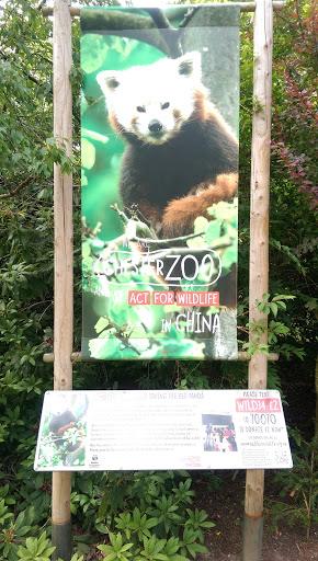 Chester zoo Act For China