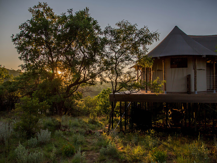 Nkomazi Private Game Reserve.