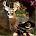 Animal Hunt Sniper Quest 2016
