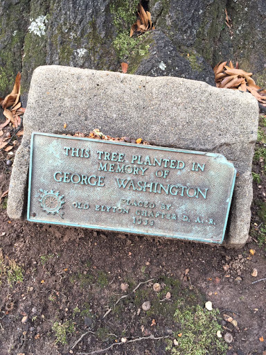 THIS TREE PLANTED IN MEMORY OF GEORGE WASHINGTON  From 1932, to celebrate the 200th anniversary of Washington's birth. Linn Park, Birmingham, AL. Submitted by @LostToHistory
